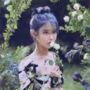 lee_ansa