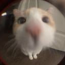 qwiixww
