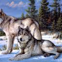 ira123456789picture