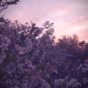 chiara_grace
