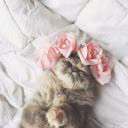 Jane__Writer