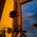 user04894449