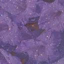 lia3429