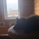 vikbeg