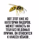 TonaKot