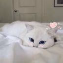 Kan_SunBin