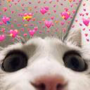 pamigone