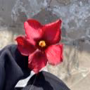 user13060020