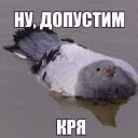user49808703