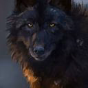 _AloneWolf_