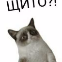 Crazy_Krippi