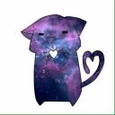 cats_cats_and_cats