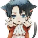 user25065865