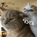 Katuha_Kat