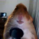 HannahLis