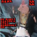 Demon_SlayerDauma