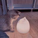 _Go_Kitty_