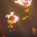 mariaMagomedova1
