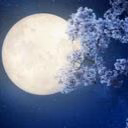 Abdi__offi
