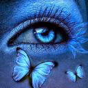 fli_zaff