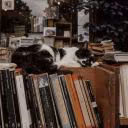 archy_letter