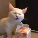 nesquik__duo