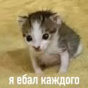 UiTetsuya9