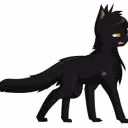 user76160