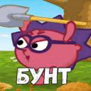 _shizic_