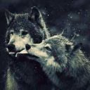 NastyaWolf2001
