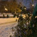 ve1lichor