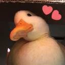 Sam_Wilson