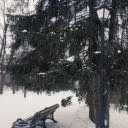 VetkaE