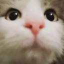 Fluff_2
