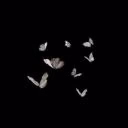 Alya_Alya_77