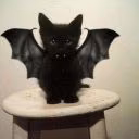 vamp_mien