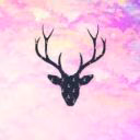 s_v_e_t_i_k_