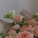 Ann_xz