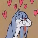 stop_stap