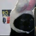 smippyX