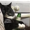 Tu_Nysh