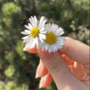 lelikbobik