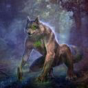 wolfYa6