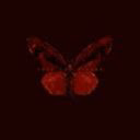 plun_zhya