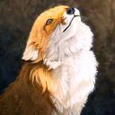 Kolart_fox