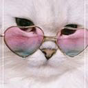 marshmallow_290