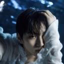 n_plip