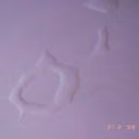 Alison_inthewl