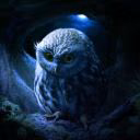 Lina_owl2
