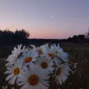 Vikass_love